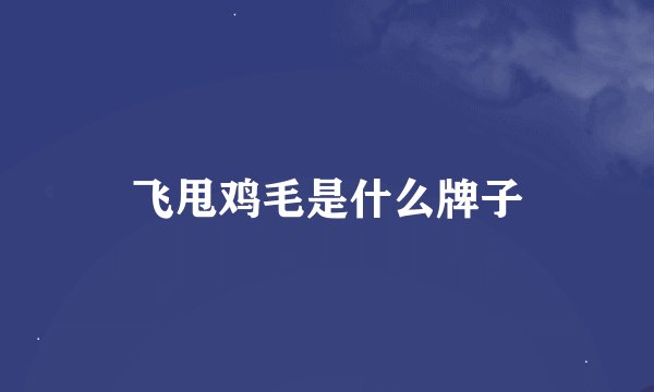 飞甩鸡毛是什么牌子