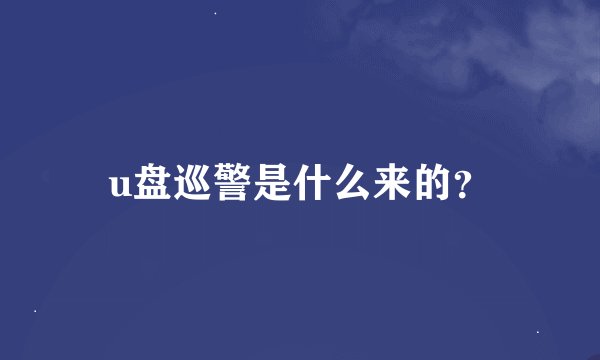 u盘巡警是什么来的？