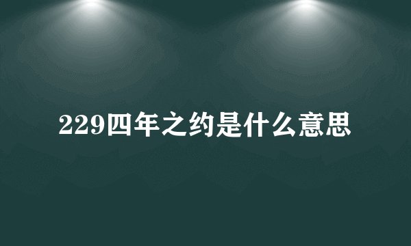 229四年之约是什么意思