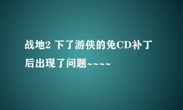 战地2 下了游侠的免CD补丁后出现了问题~~~~