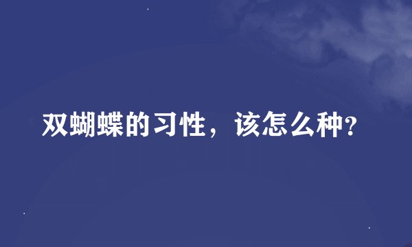 双蝴蝶的习性，该怎么种？