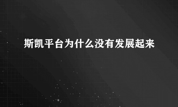 斯凯平台为什么没有发展起来