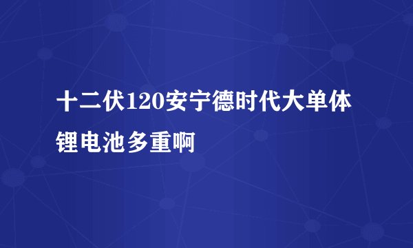 十二伏120安宁德时代大单体锂电池多重啊