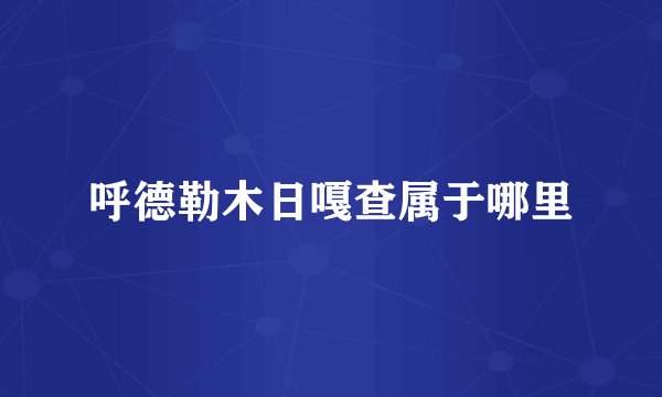 呼德勒木日嘎查属于哪里