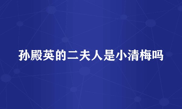 孙殿英的二夫人是小清梅吗