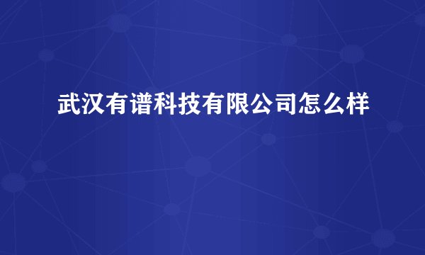 武汉有谱科技有限公司怎么样