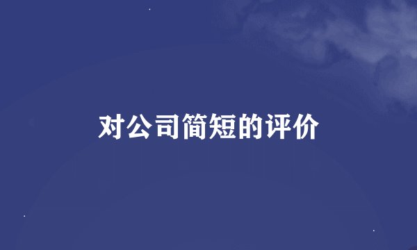 对公司简短的评价