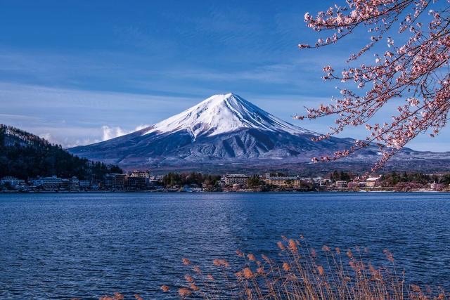 “阿里嘎多”一词是什么意思？