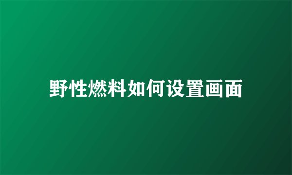 野性燃料如何设置画面