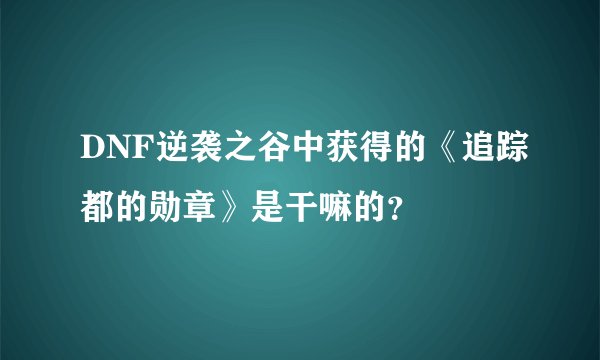 DNF逆袭之谷中获得的《追踪都的勋章》是干嘛的？
