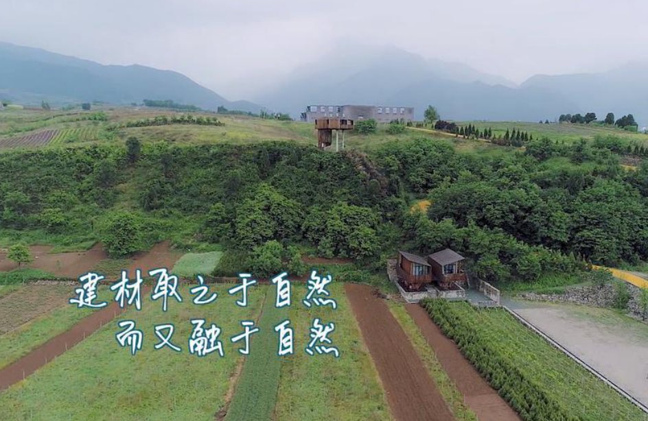 马伯骞爸爸为何要在乡村建民宿？