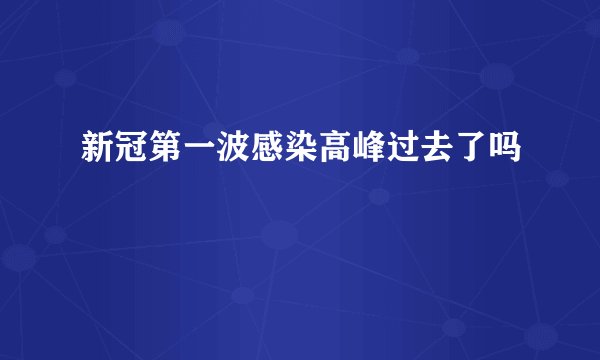 新冠第一波感染高峰过去了吗