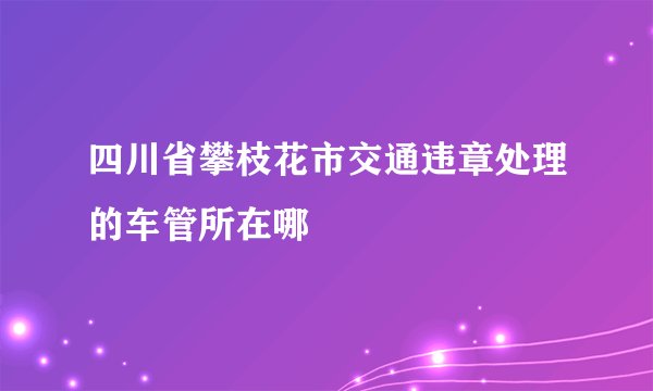 四川省攀枝花市交通违章处理的车管所在哪