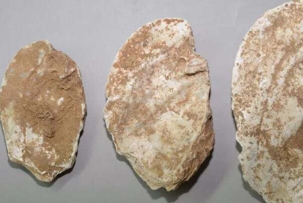 16000年前的人头骨化石，难道世界真是一个循环再生的过程？