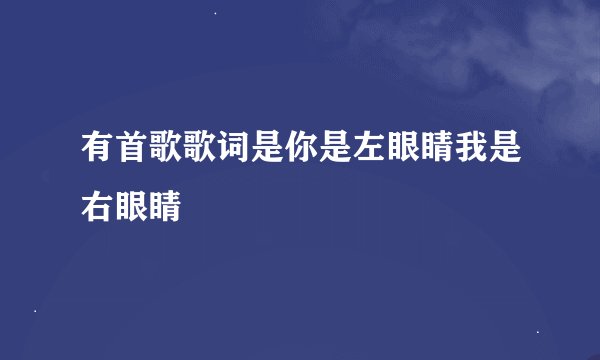 有首歌歌词是你是左眼睛我是右眼睛
