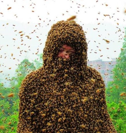 别墅内养26桶蜜蜂导致邻居整张脸被蛰肿是怎么回事？