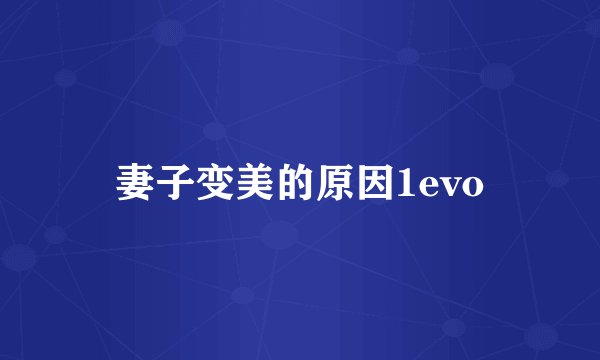 妻子变美的原因1evo