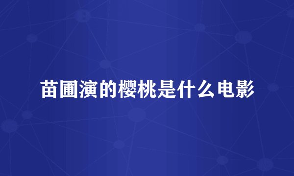 苗圃演的樱桃是什么电影