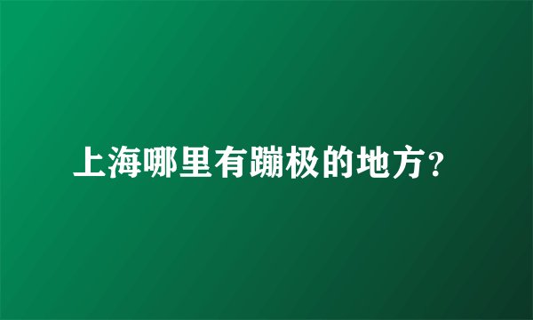 上海哪里有蹦极的地方？
