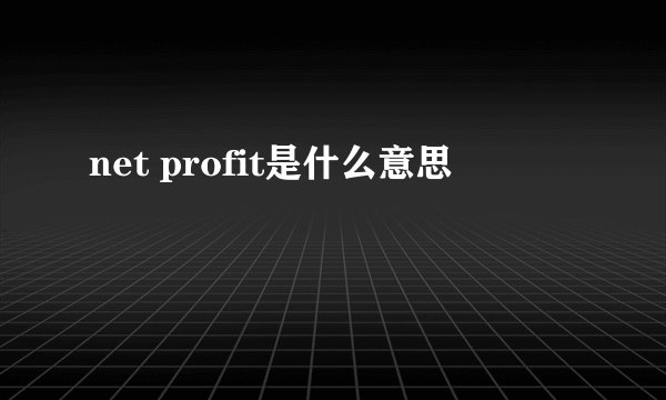 net profit是什么意思