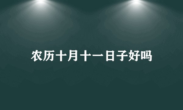 农历十月十一日子好吗