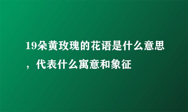 19朵黄玫瑰的花语是什么意思，代表什么寓意和象征