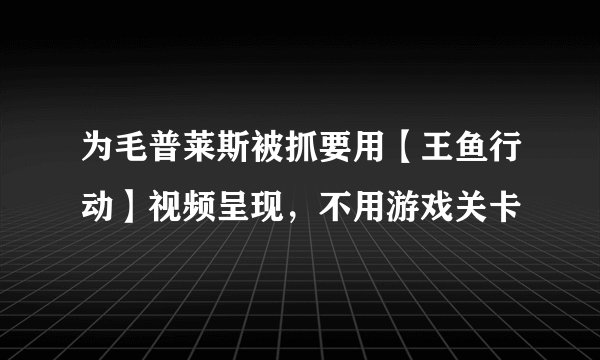 为毛普莱斯被抓要用【王鱼行动】视频呈现，不用游戏关卡