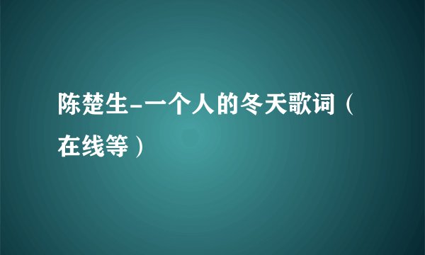 陈楚生-一个人的冬天歌词（在线等）