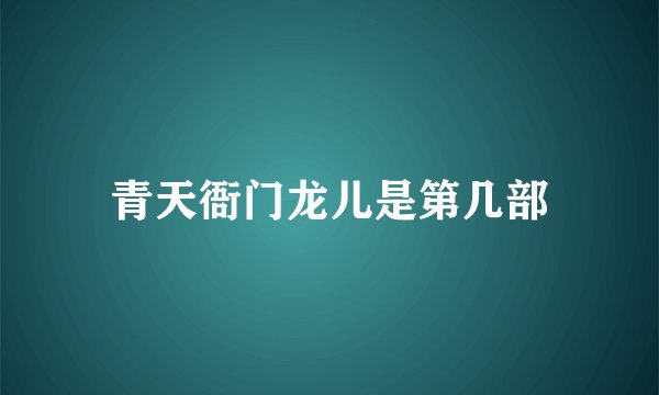 青天衙门龙儿是第几部