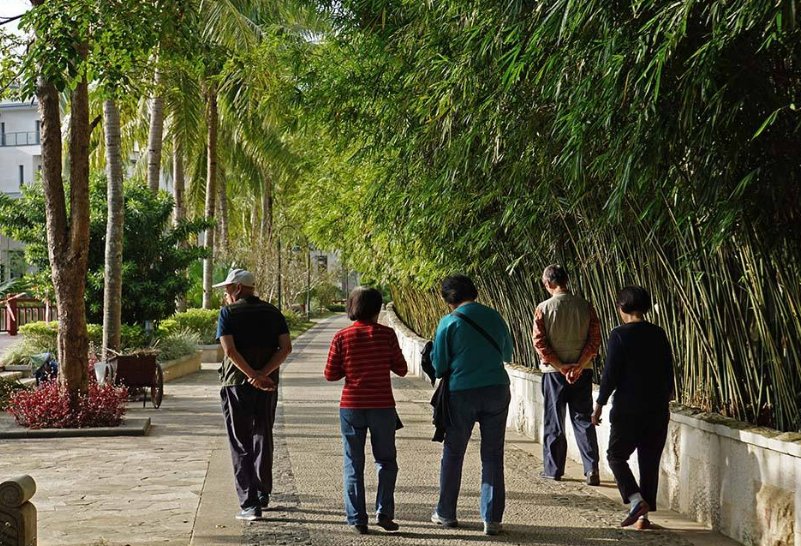 散步这篇课文的大意是什么？