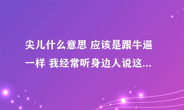 尖儿什么意思 应该是跟牛逼一样 我经常听身边人说这个字儿 知道的朋友麻烦给我解释一下
