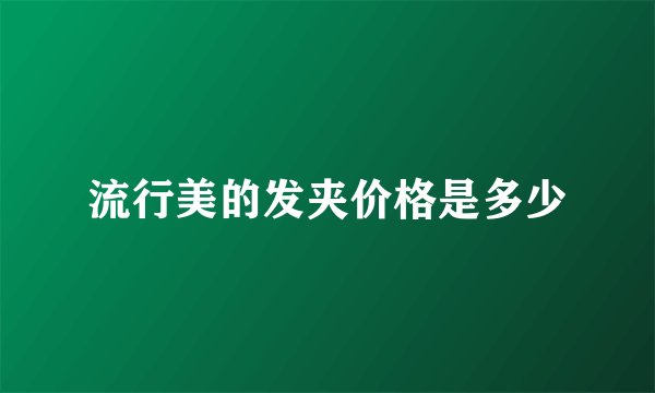 流行美的发夹价格是多少