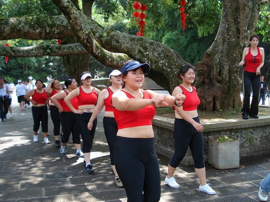 瘦身魔方的简介