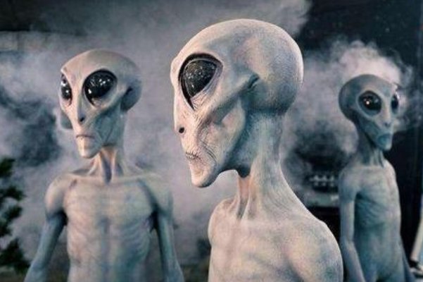 何以见得137是一个神奇的数字，究竟代表了什么？