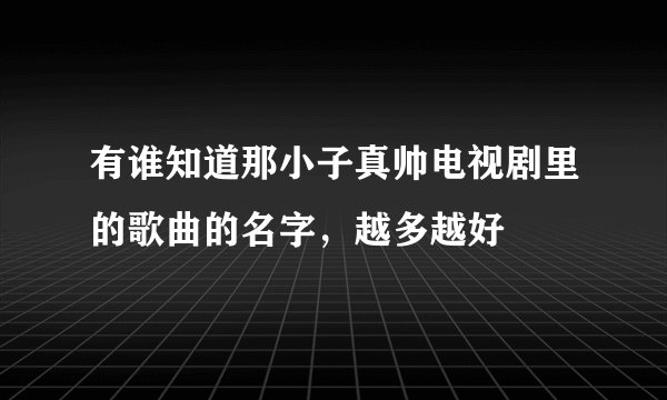 有谁知道那小子真帅电视剧里的歌曲的名字，越多越好