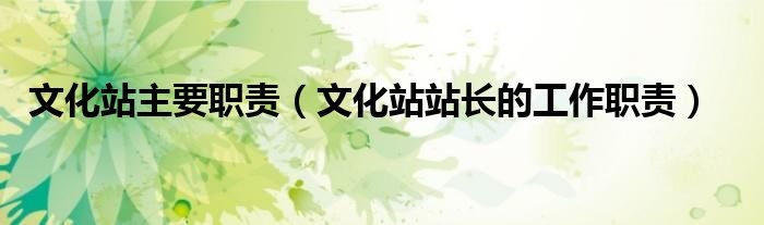 文化站主要职责文化站站长的工作职责