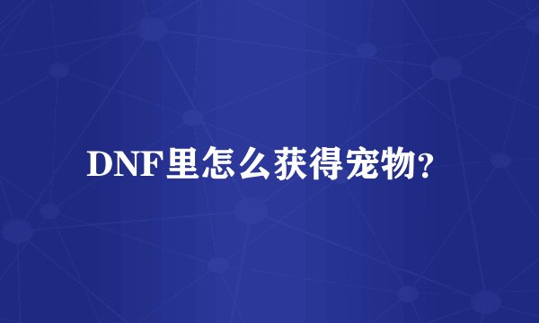 DNF里怎么获得宠物？