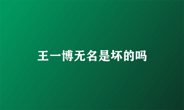 王一博无名是坏的吗