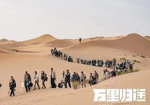 《万里归途》真实事件原型，利比亚撤侨撤了多少人，是哪一年？