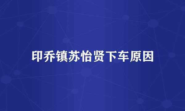 印乔镇苏怡贤下车原因