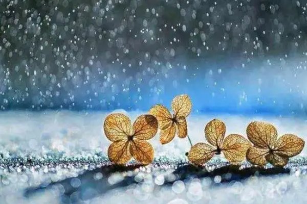 翅湿沾微雨下一句