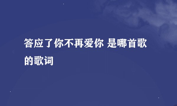 答应了你不再爱你 是哪首歌的歌词