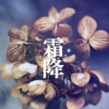 二十四节气分别是什么？