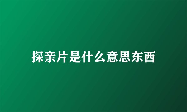 探亲片是什么意思东西