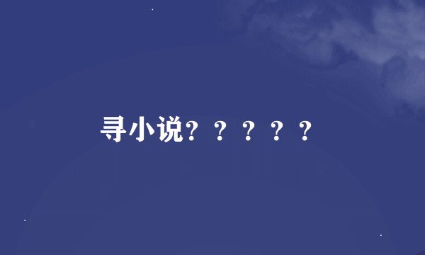 寻小说？？？？？