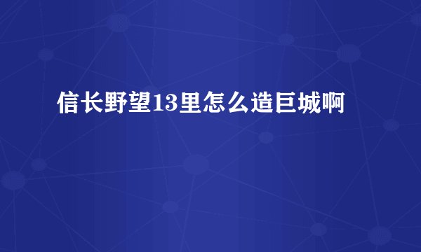信长野望13里怎么造巨城啊