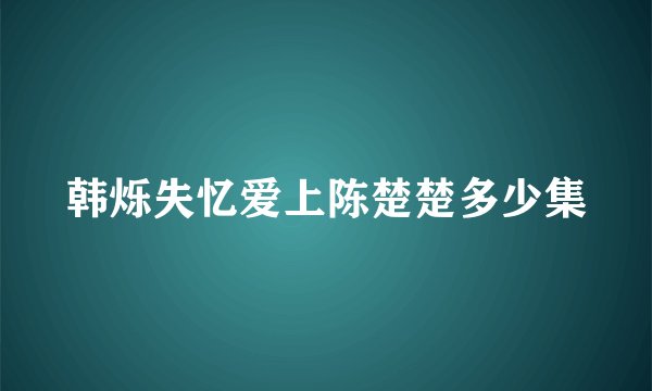 韩烁失忆爱上陈楚楚多少集