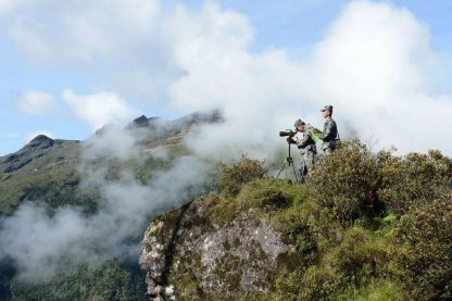 ob什么意思的缩写