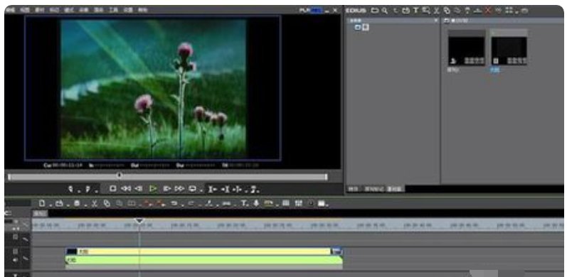 为什么我电脑本身的视频没声音啊？