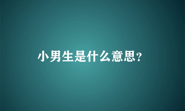 小男生是什么意思？